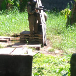 Bambu Extérieur
