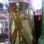 Pizzaria Da Gegê Bebida