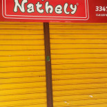Nathely Pizzaria Asa Norte Logo