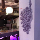 Rosima À l'intérieur