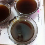 Academia Do Café Boisson