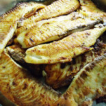 Gardinus Buffet Nourriture