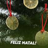 Tradicional Limonada Extérieur