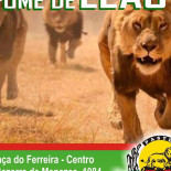 Leão Do Sul Carte