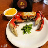 Do Ciço Cibo