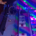 The Lights Bebida