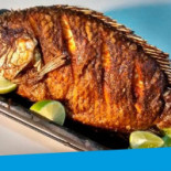 Peixe Com Sabor Gurú