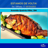 Peixe Com Sabor Carta
