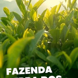 Bastião Café Boisson