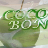 Coco Bongo Boisson