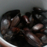 Moitilas Boisson