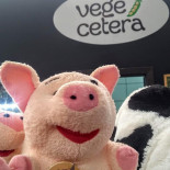 Vegecetera Bebida
