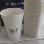 Cocoecia Boisson