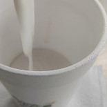 Cocoecia Boisson