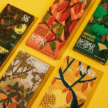 Kostbar Chocolates E Amigos Carte