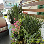 Café Amor Eventos Exterior