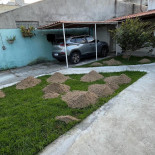 Café Amor Eventos Exterior