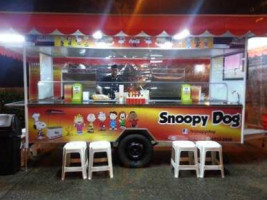 Snoopy Dog inside