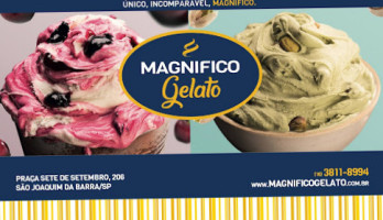 Magnifico Gelato food