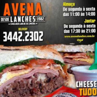 Avena Lanches food