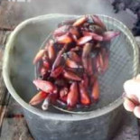 Recanto Dos Amigos Nourriture