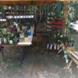 Taipas Branca Pousada E Extérieur