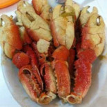 Aluada Da Pata Nourriture