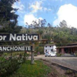 Flor Nativa Extérieur