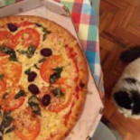Green Pizza Nourriture