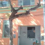 Laranja Lima Comedoria Dentro