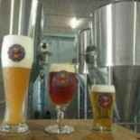 Cervejaria Bionda Essen