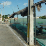 Arnulfu's Extérieur