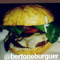 Bertone Burguer food