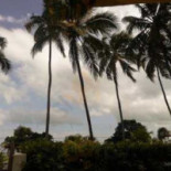 Ilha Do Sabor Essen