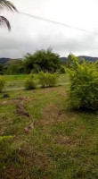 Sabores De JuquiÁ (pedra Cavalo) outside