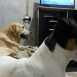 Silva E Silva E Mercearia À l'intérieur