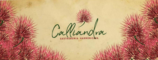 Calliandra Gastronomia Bistrô Adega food
