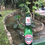 Cabanas Nourriture