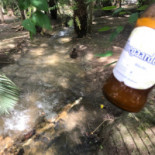 Cabanas Nourriture