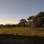 Rancho Nourriture