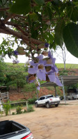 Rancho Xodó E Comida Caseira. outside