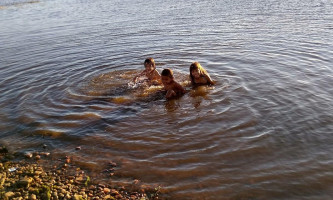 Balneário Beira Lago outside