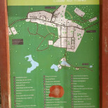 Odilon Carte