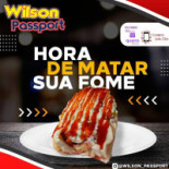 Wilson Passport Carte