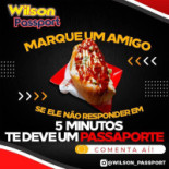 Wilson Passport Carte