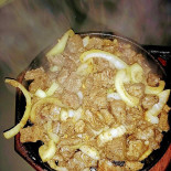 Hamburgueria Container Comida