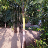 Casarao Da Serra Extérieur