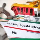 Sabor Da Terra Bebida