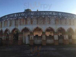 Ser-afim outside