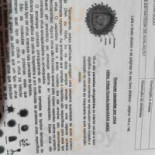 Gabarito Carte